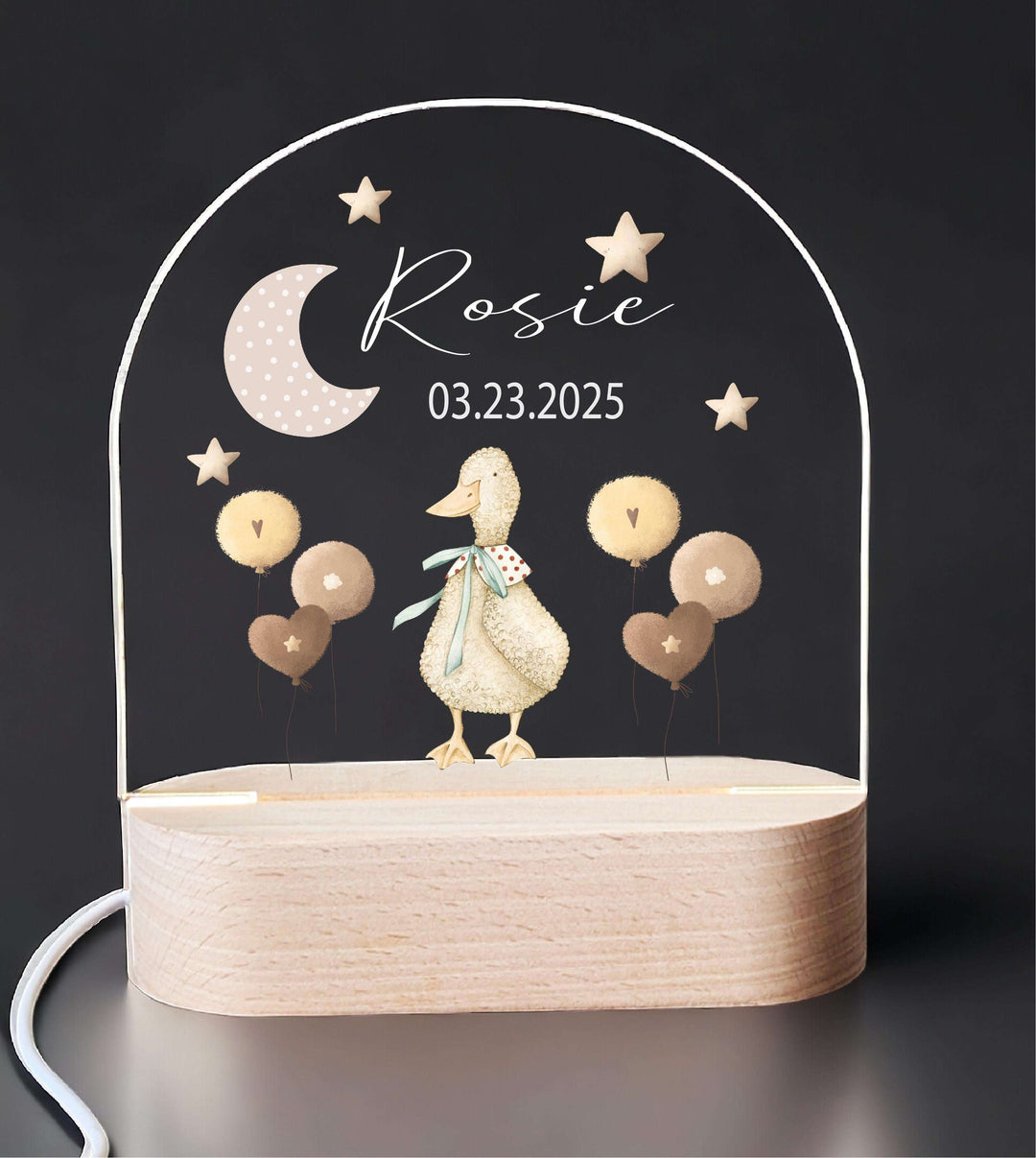 Personalized Goose Baby Gifts Custom Name LED Light Decor