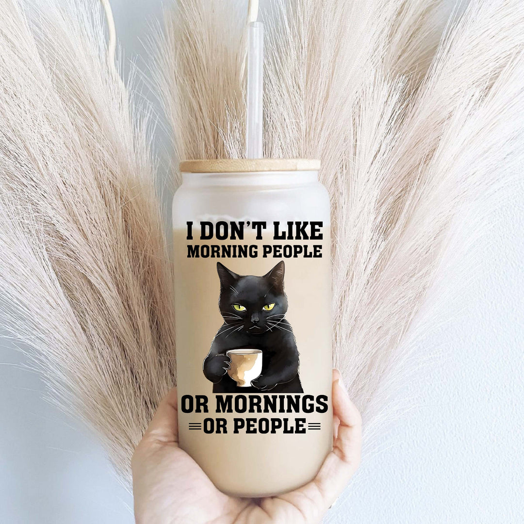 I don't like morning&nbsp;people Iced coffee Glass cup with lid and straw&nbsp;iced coffee glass Sarcastic glass cup Introvert coffee cup Cat cup