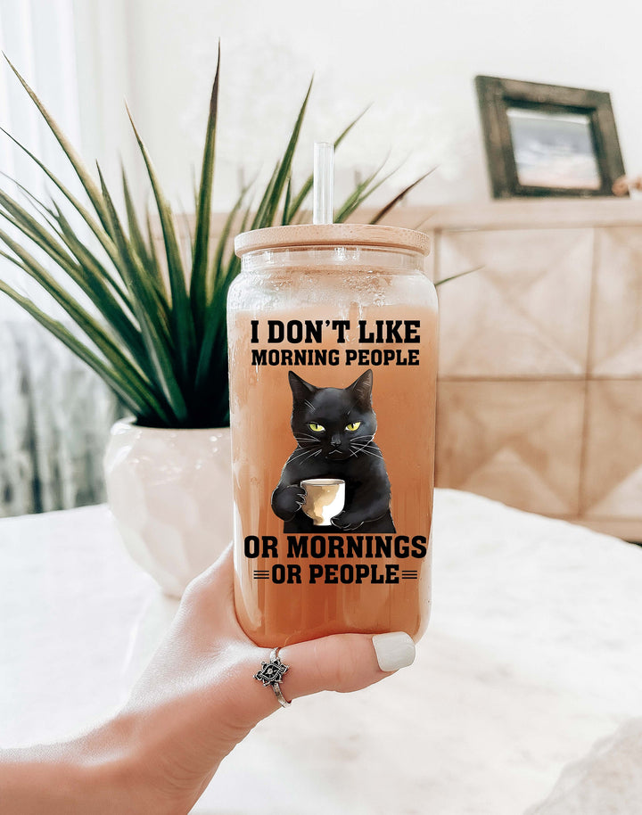 I don't like morning&nbsp;people Iced coffee Glass cup with lid and straw&nbsp;iced coffee glass Sarcastic glass cup Introvert coffee cup Cat cup