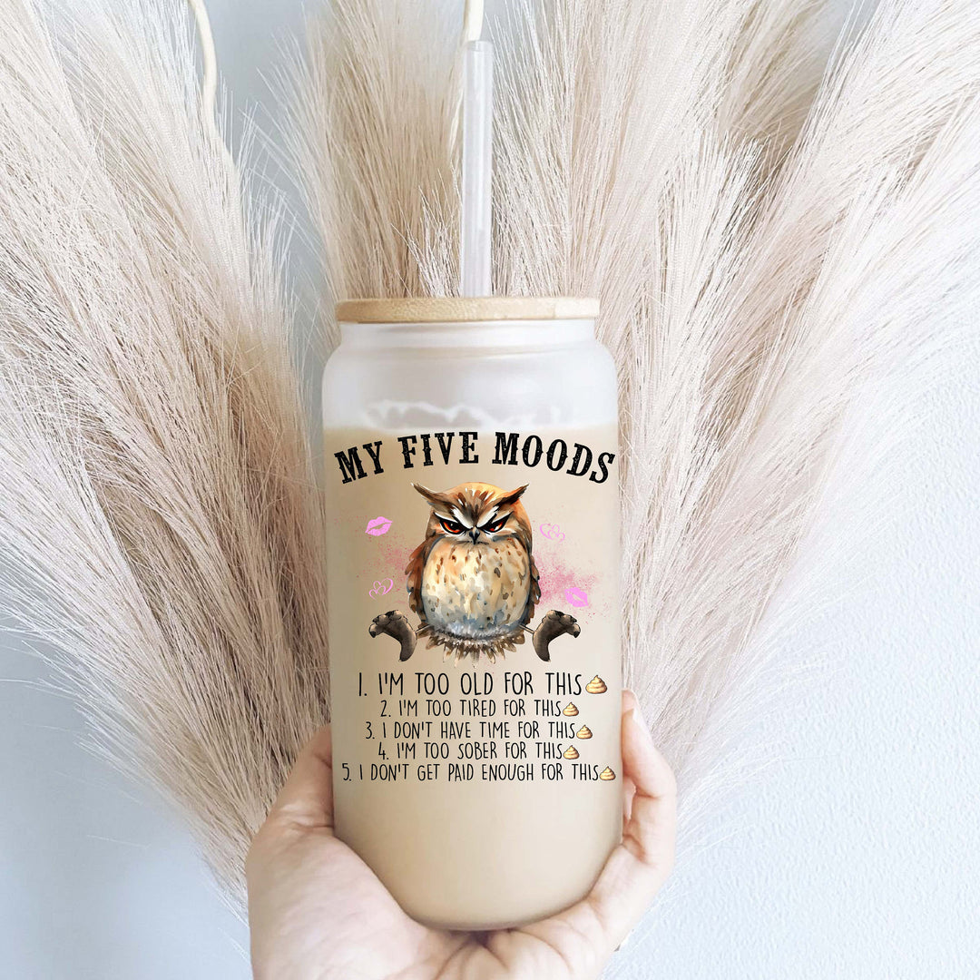 My Mood Iced Coffee Cup Sarcastic Funny Glass Tumbler