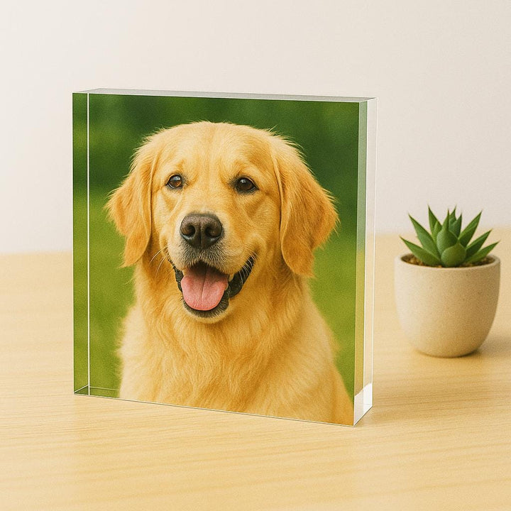 Personalized Pet Photo Acrylic Block Keepsake Decor