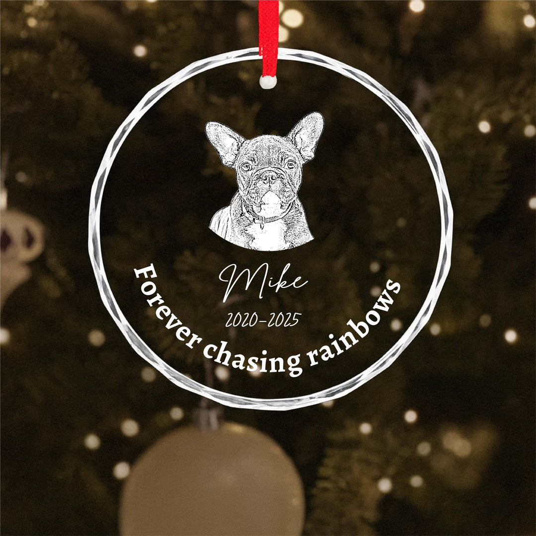 Pet photo Memorial Ornament, Dog Loss Gift, Personalized Pet Keepsake, Pawprints in Heaven Custom&nbsp;Ornament